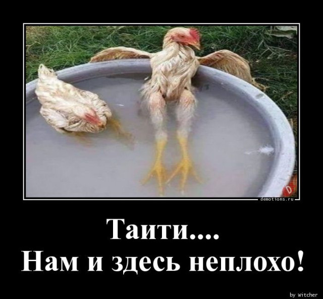 Демотиваторов пост: «Таити…»
