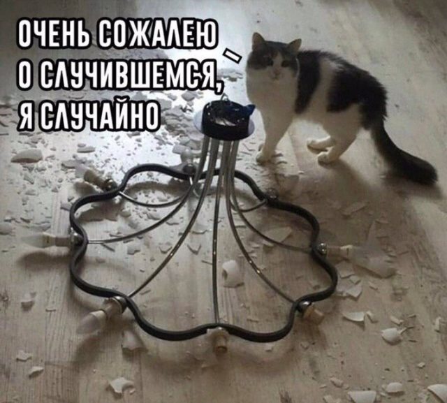 Совсем немного весёлых картинок 