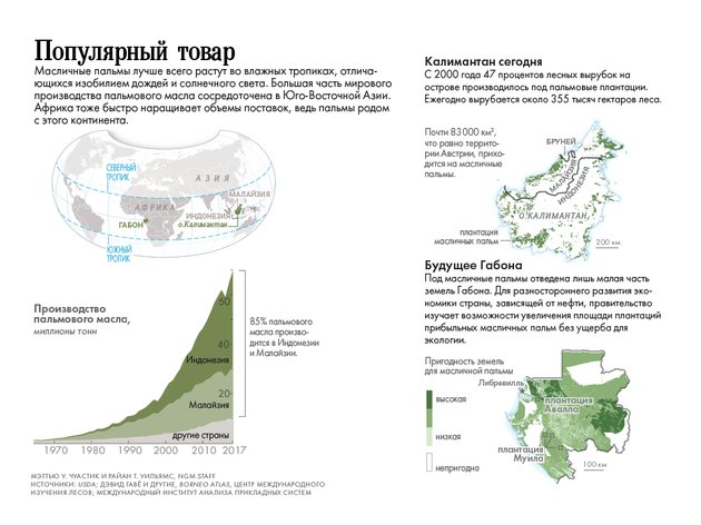 Пальмовое масло: неизбежное зло масла, пальмового, пальмы, масло, масличные, Габона, пальмовое, лесов, чтобы, компании, часть, километров, Сабахе, тысяч, пальм, масличных, земли, деревьев, процентов, Калимантане