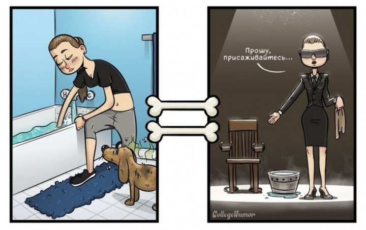 как видят мир собаки