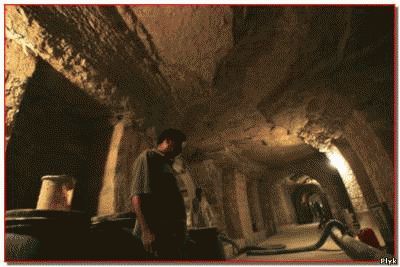 Саркофаги Серапеума Саркофаги Серапеума