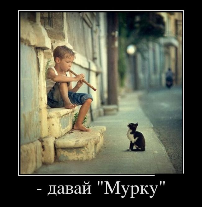 Порция демотиваторов на любой вкус 