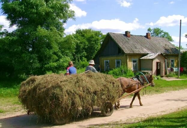 «Русским должно быть ужасно стыдно»: немецкий аналитик призвал Германию остановить «отсталость» Росс