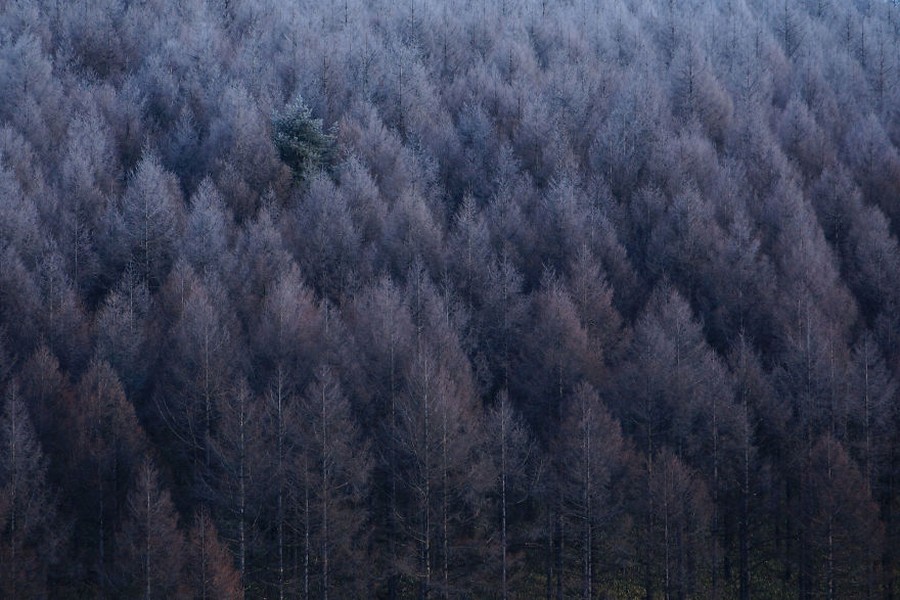 Поразительные снимки с конкурса Sony World Photography Awards 2017