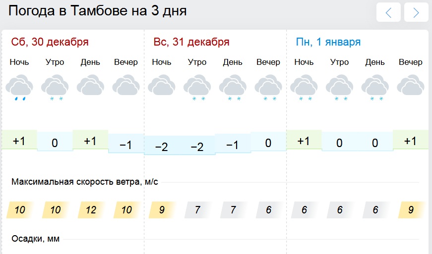 Погода в тамбове на 3 дня. Тамбов климат. Погода в Тамбове на 10 дней. Осадки декабрь. Синоптик Тамбов.