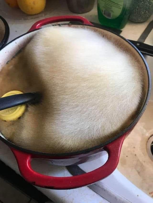 25 снимков, которые надо увидеть хотя бы раз в жизни природа