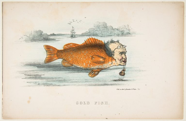 natural-history-of-the-human-race-goldfish-768x500.jpg