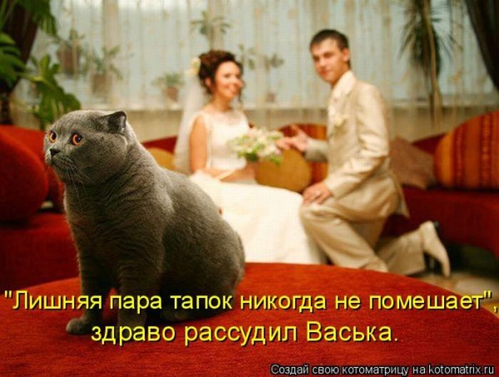 Мысли вслух :)