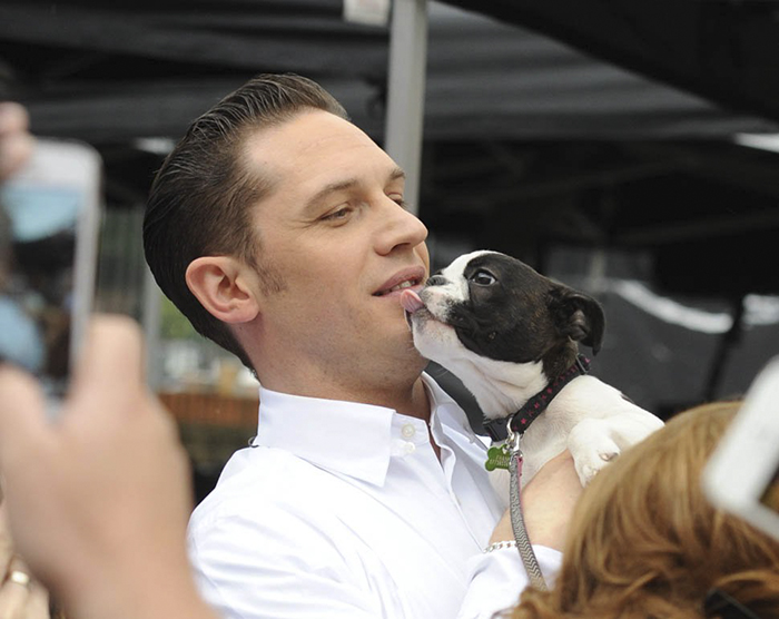 Love-for-dogs-tom-hardy