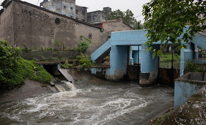 Рыбак из Индии заметил, что в пруд попала сточная вода и появились водоросли. Тогда он запустил рыбу Культура