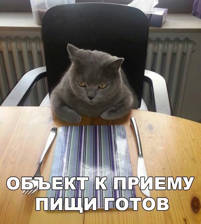 Немного аморальных мемов Немного аморальных мемов