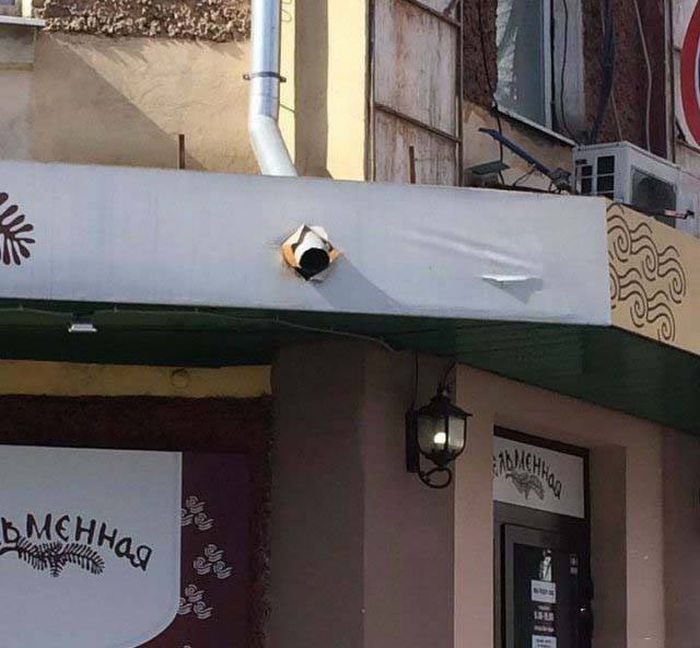 Только в России (36 фото) картинки, россия, юмор