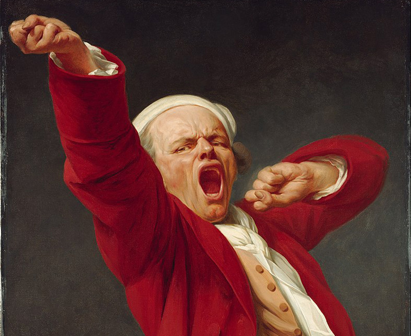Человек зевающий: наука и искусство зевания зевание