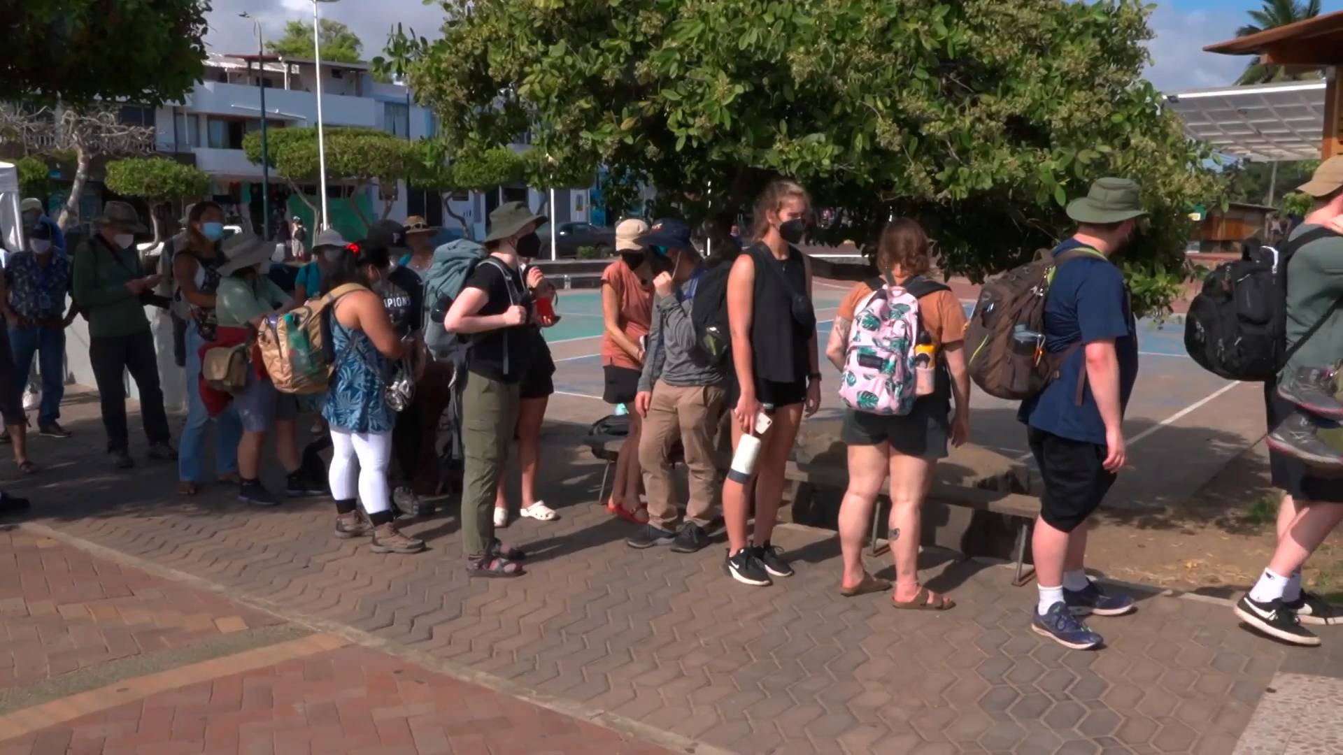 Туристы не могут покинуть остров Санта-Крус из-за предупреждения о цунами Общество
