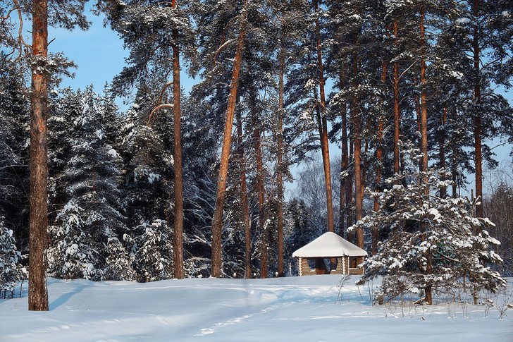 Отдача, или не рой яму другому…