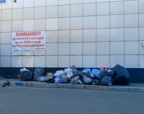 Делаю, что хочу! (16 фото)