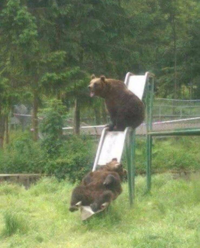 Пятничные фотоприколы: «Ребята, подождите!» Пятничные фотоприколы: «Ребята, подождите!»