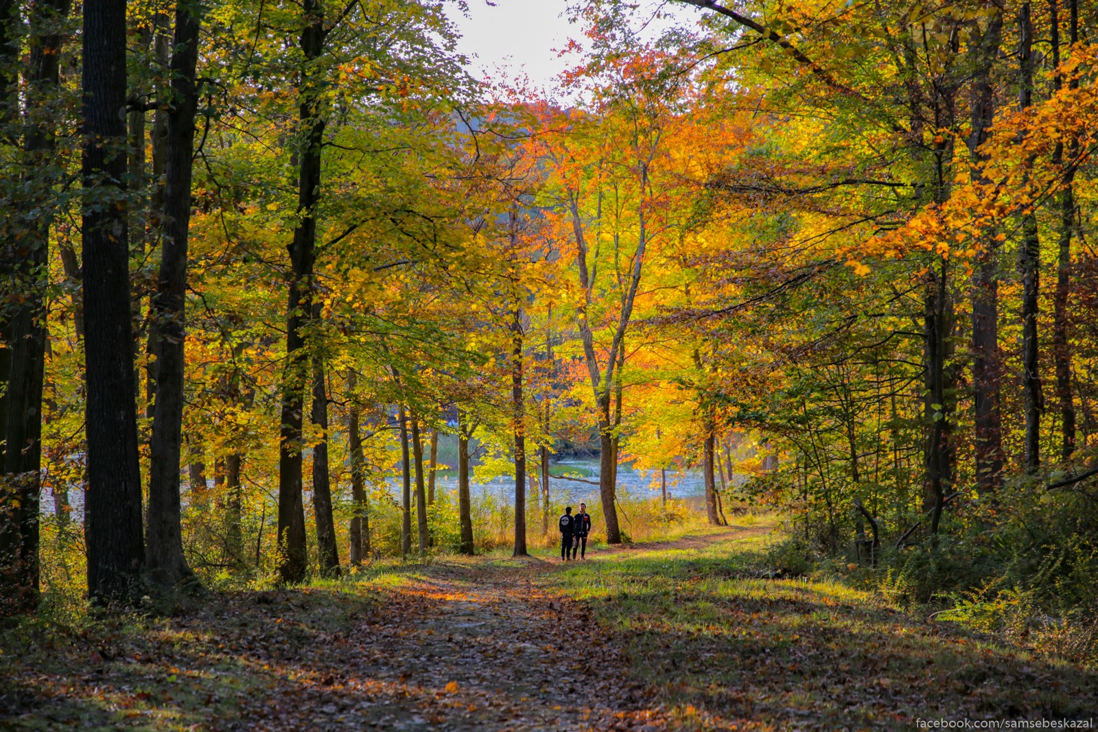 Autumn 8. Харриман парк. В начале осени или вначале.