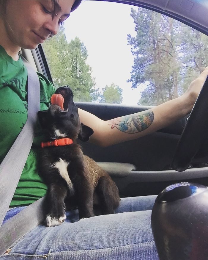 Первая встреча