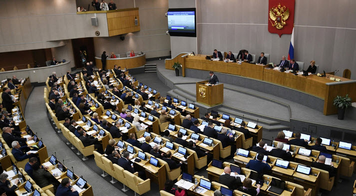 Госдума ответила на заявление Поклонской о организации антикоррупционных проверок