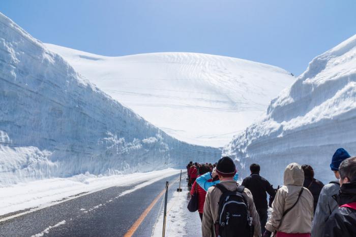 Прогулка по Tateyama Kurobe Alpine  