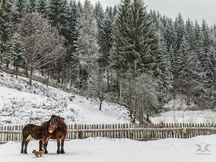 Лучшие фотографии от National Geographic