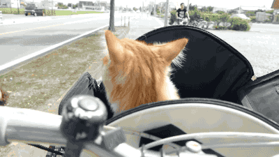 Классные гифки для хорошего вечернего настроения Классные гифки для хорошего вечернего настроения зачетные гифки