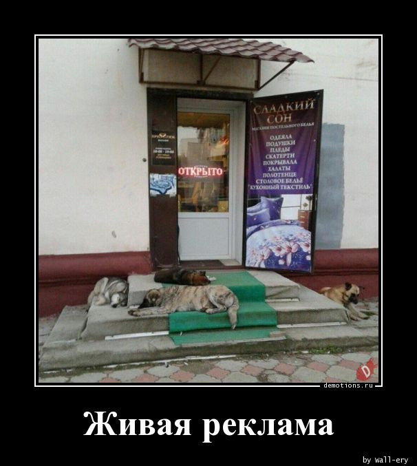 Демотиваторов пост: «Таити…» Демотиваторов пост: «Таити…»