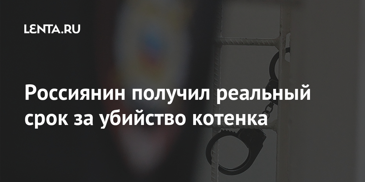 Россиянин получил реальный срок за убийство котенка Россиянин получил реальный срок за убийство котенка колониипоселения, приговорен, декабря, животное, вынес, планшет, телефона, знакомого, своего, квартиры, Самаре, общую, Обвиняемый, совершенную, кражу, работ, обязательных, часам, самарец, продукты