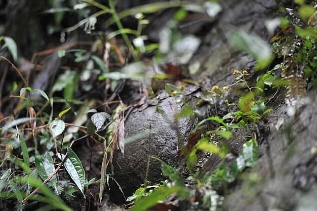 Скала с «каменными яйцами» принесла известность китайской деревне