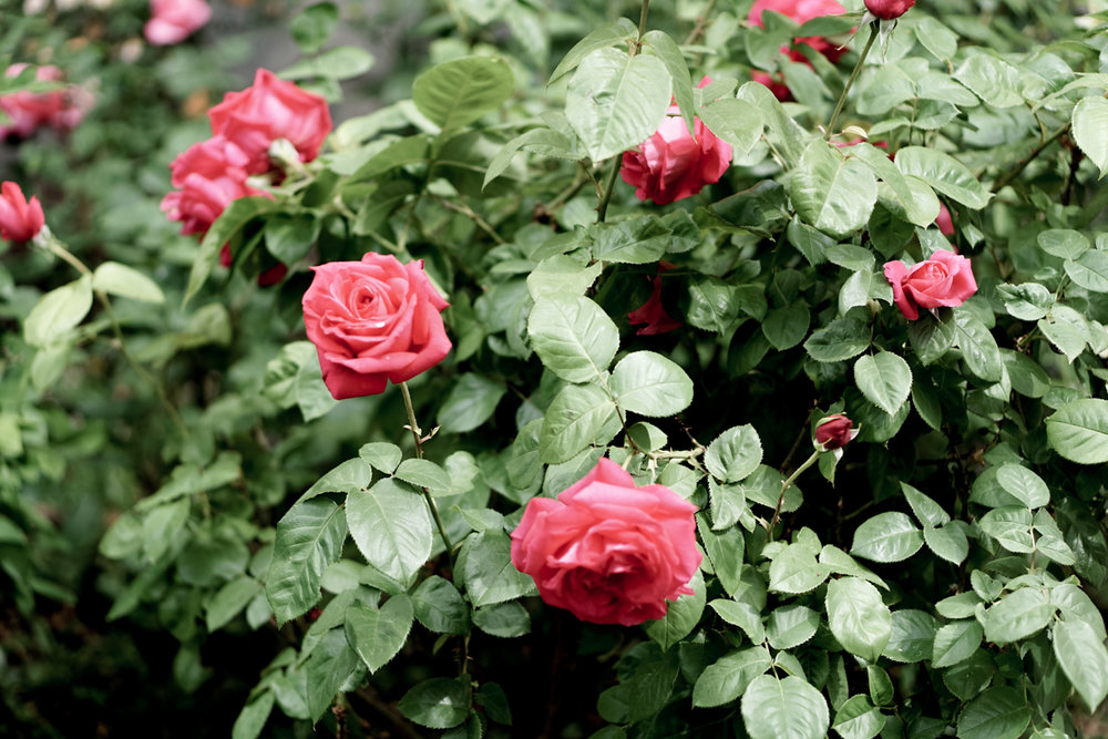 Spokane Washington-15.jpg