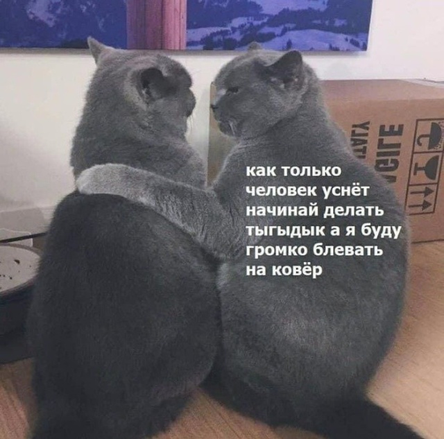 Подборка прикольных картинок Подборка прикольных картинок смешные картинки