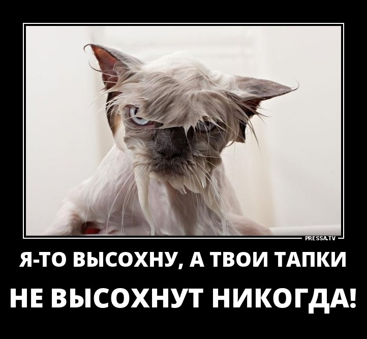 http://mtdata.ru/u5/photoA6D7/20341956113-0/original.jpg