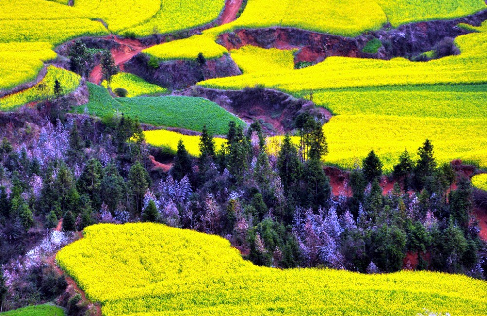 Самые яркие и красочные места на земле