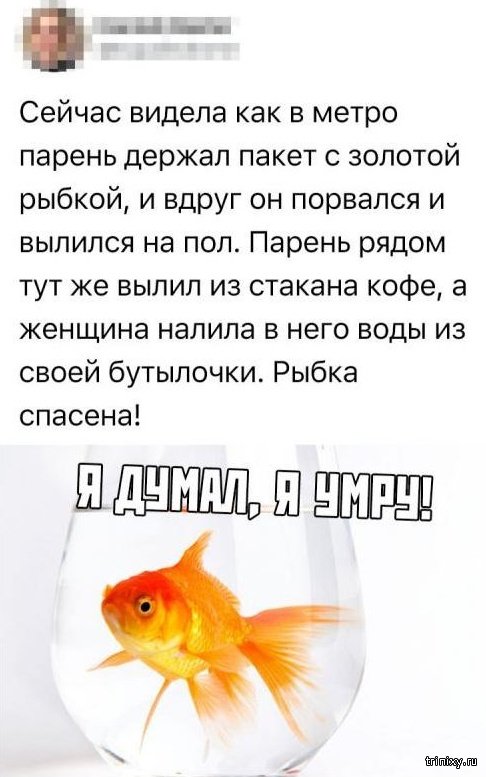 Социальные сети - кладезь юмора Социальные сети - кладезь юмора смешные картинки