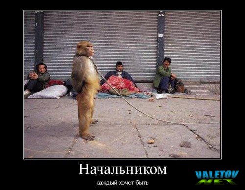 Подборка веселых и смешных демотиваторов из нашей жизни для хорошего настроения Подборка веселых и смешных демотиваторов из нашей жизни для хорошего настроения демотиваторы свежие,приколы,смешные демотиваторы,юмор