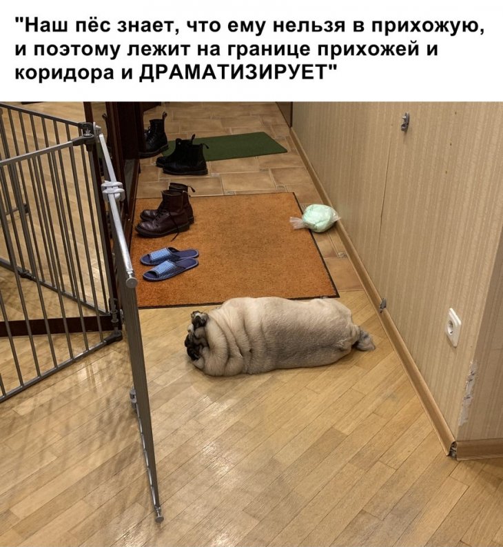 Немного мемов и смешных картинок 