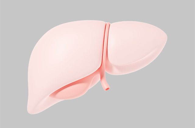 Самый большой орган человека Самый большой орган человека