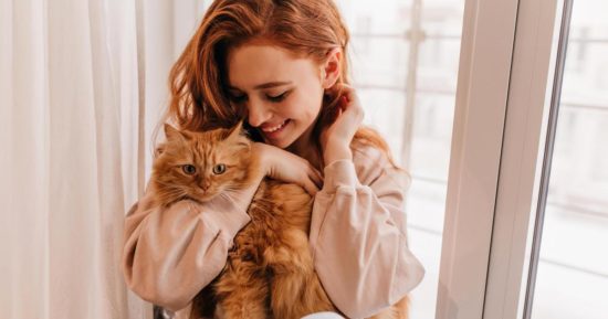 Зоопсихолог Протасевич перечислила места, по которым гладить кошку запрещено