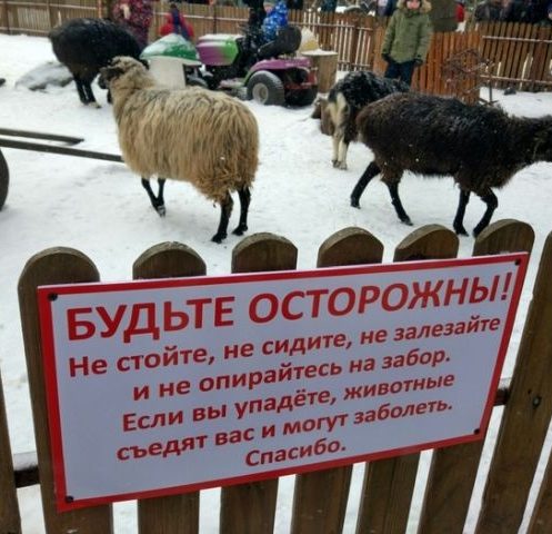 что такое асимметричный ответ спросил рыцарь. Смотреть фото что такое асимметричный ответ спросил рыцарь. Смотреть картинку что такое асимметричный ответ спросил рыцарь. Картинка про что такое асимметричный ответ спросил рыцарь. Фото что такое асимметричный ответ спросил рыцарь
