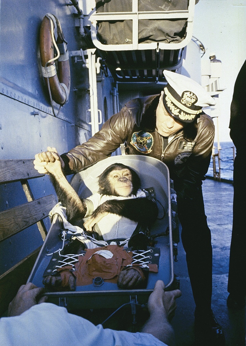 ​Шимпанзе Хэм на борту десантного корабля USS Donner после суборбитального полёта на космическом корабле Mercury; 31 января 1961 года. NASA hq.nasa.gov - «Меркурий» против «Востока» | Warspot.ru
