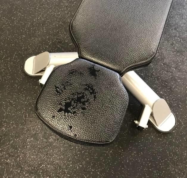 25 кадров из нашей жизни, которые всех раздражают 