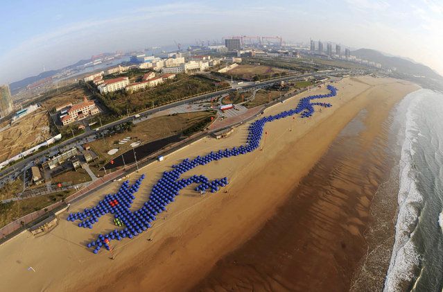 рекорд, книга рекордов