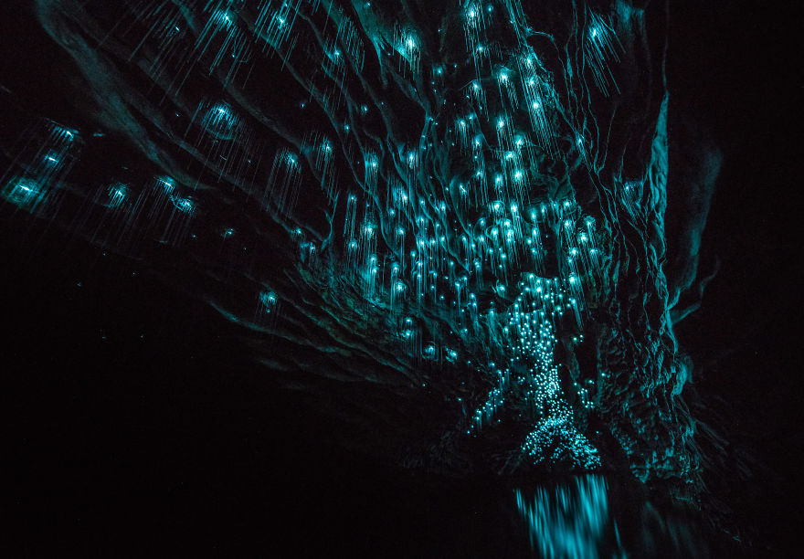 светлячки в пещере Новой Зеландия 