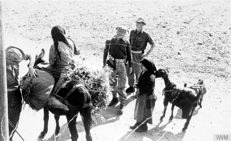​Солдаты Королевского Ольстерского полка проверяют кипрских крестьян, 1958 год. iwm.org.uk - Кипр на грани раскола | Warspot.ru