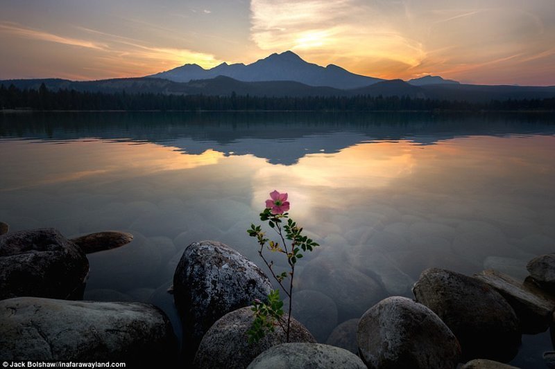 Гора Пирамид отражается в озере Аннетт, национальный парк Джаспер, Канада в мире, красивые фото, красивый вид, пейзажи, природа, путешествия, фото, фотографы