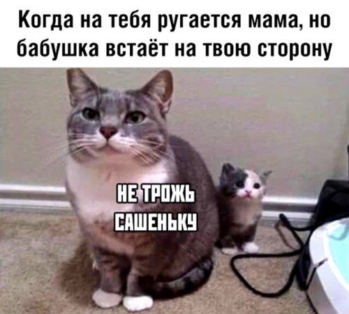 Новые фоприколы дня 