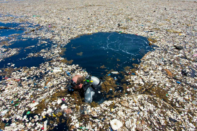 Тихоокеанское мусорное пятно: плавающая куча мусора больше Франции мусора, пластик, больше, всего, время, которые, океана, скорее, мусора Причем, миллионов, цифра, оценивается, сегодня, является, каждый, растет, комуПятно, снежному, сотни, расти