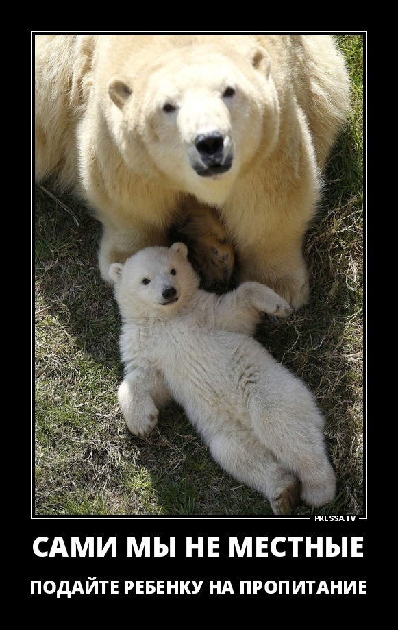 Забавные веселые демотиваторы Забавные веселые демотиваторы