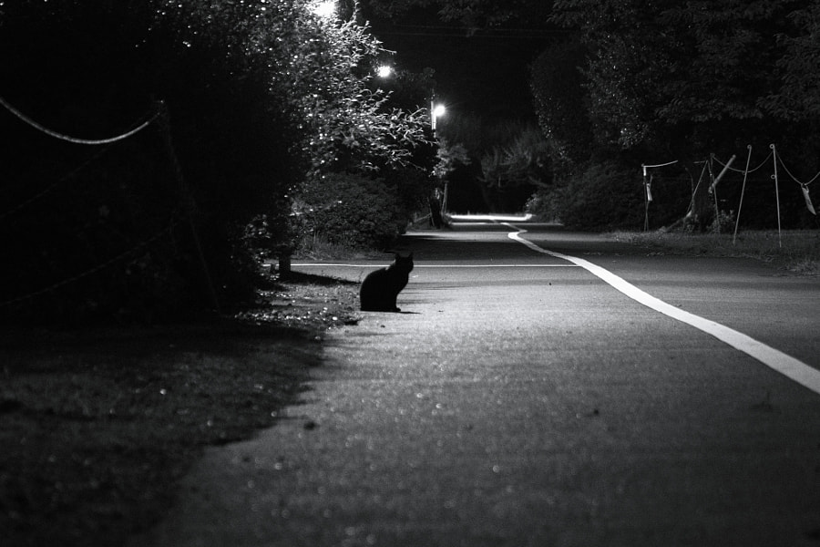 Night appearance by Mayuki Kawasumi on 500px.com